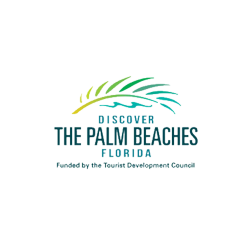 Discover the Palm Beaches